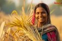 Women in Indian Agriculture