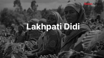 How 'Lakhpati Didi' Projects Empower the Rural Women